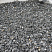 Kamenclub.ru: Щебень крошка черный (мрамор) фр. 5-10 мм.  купить в Армавире мрамор черный с белыми прожилками, черный, белый мраморная крошка декоративная ландшафтная 11000 руб/т   фото КАМЕНЬ КЛУБ
